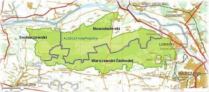 Odkryj Puszczę Kampinoską: Najlepsze Trasy Rowerowe i Mapa dla Entuzjastów Przyrody