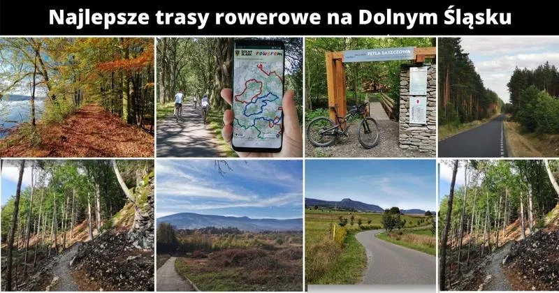 Bezpieczeństwo rowerzystów na asfalcie