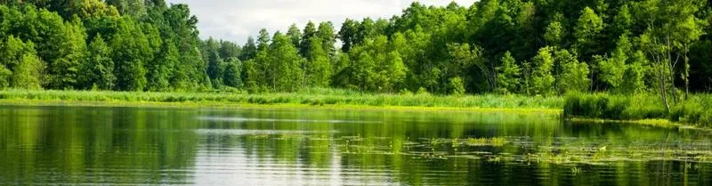 Bory Tucholskie trasy rowerowe