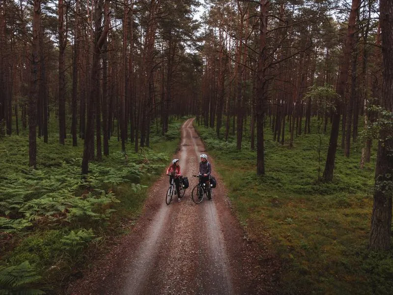 Dzika przyroda i piękno natury na trasie