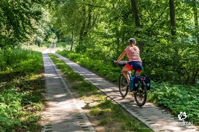 Podróż rowerowa przez różnorodne krajobrazy