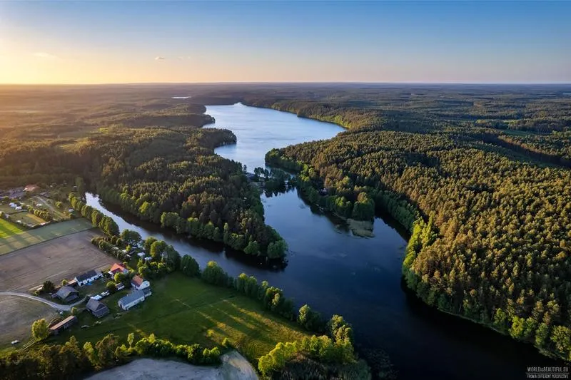 Przyroda flora i fauna Borów Tucholskich