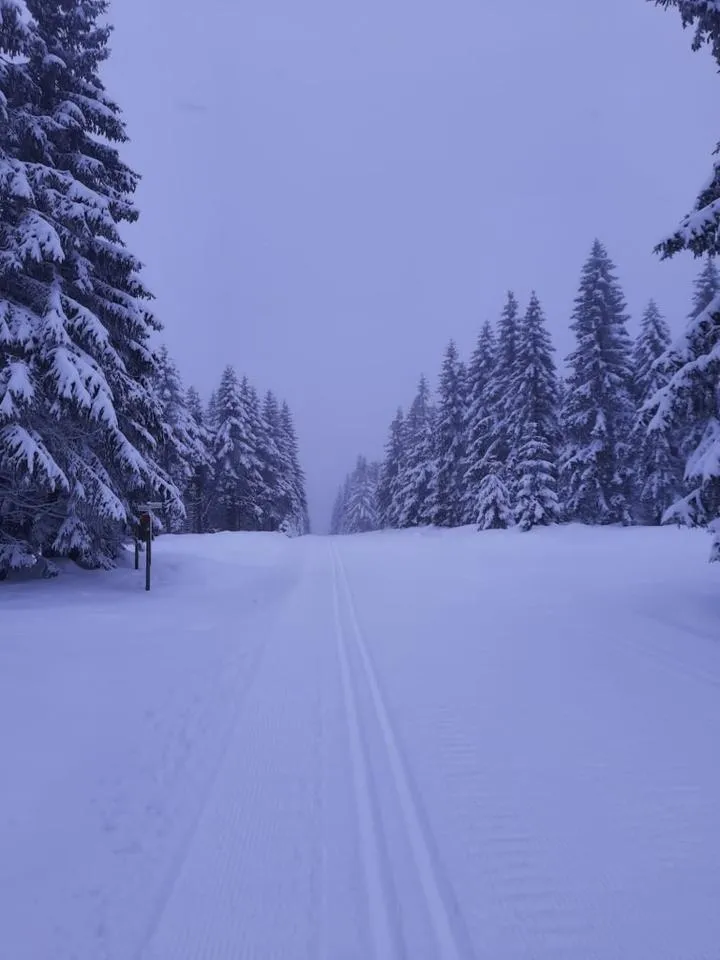 Rowerowe szlaki Jakuszyce