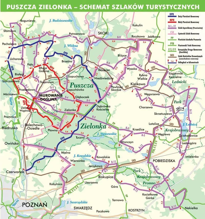 Trasy rowerowe w Polsce